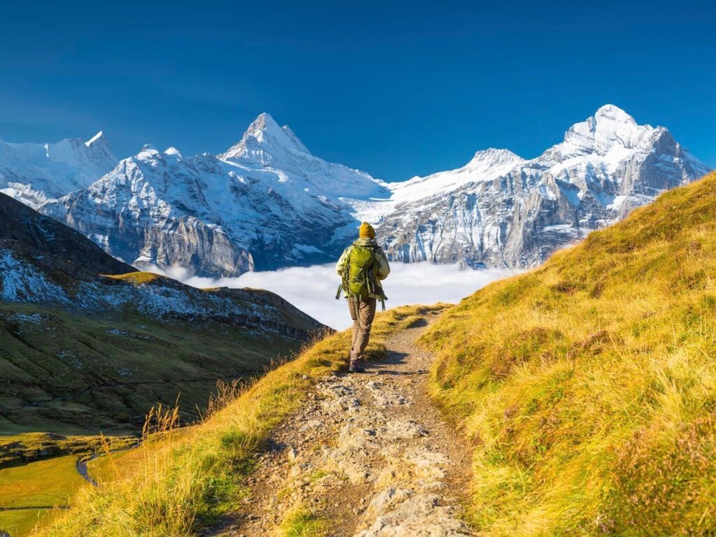 Looking for a “cool-cation?” Chile is an ideal destination.
