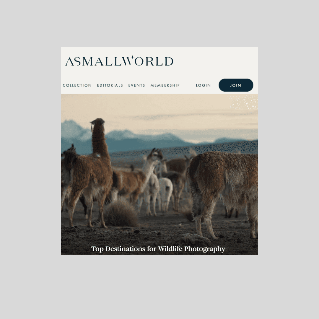 Top Destinations for Wildlife Photography
