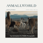 Top Destinations for Wildlife Photography
