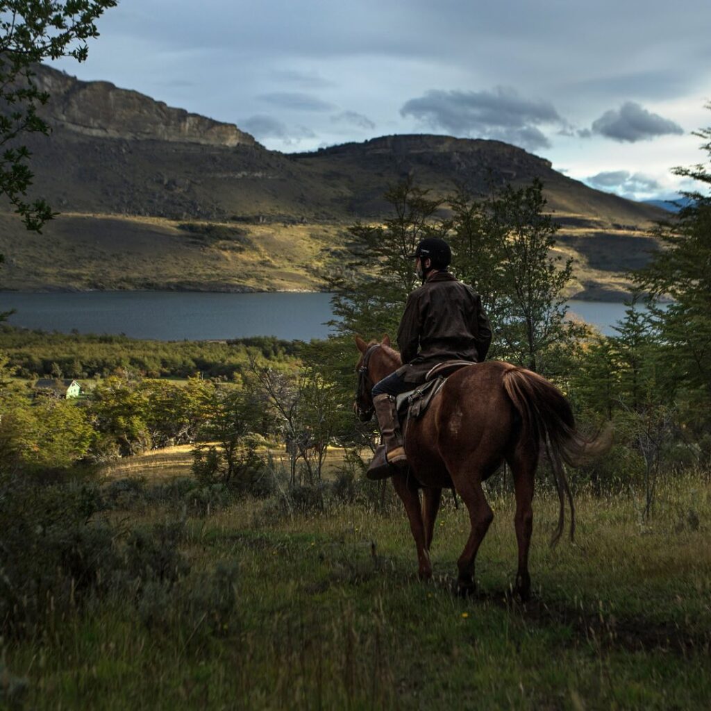 Photo by The Singular Patagonia on January 21, 2025.