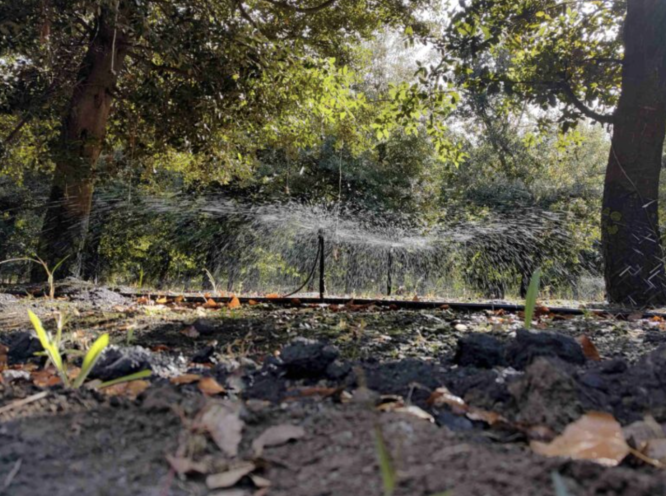 Captura-de-pantalla-2024-07-24-a-las-15.30.06 Garden sprinkler sprays water across a shaded, leafy yard with trees and fallen leaves on the ground.