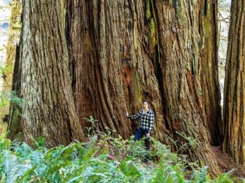 The Path of Sustainability: The Mission is Ongoing