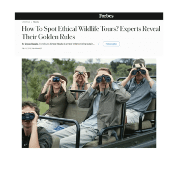 How To Spot Ethical Wildlife Tours? Experts Reveal Their Golden Rules