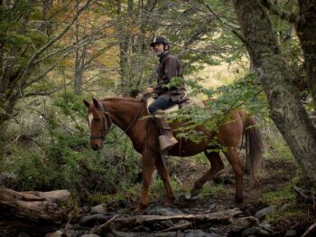 Interested in Horseback Riding, Puma Tracking, or Fly Fishing in Patagonia? We’ve got some tips.