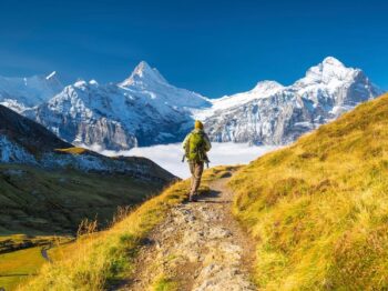 Looking for a “cool-cation?” Chile is an ideal destination.