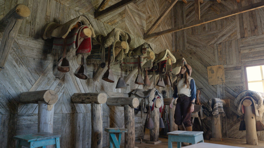 Woman examines traditional saddles and riding gear hanging inside a rustic wooden barn.
