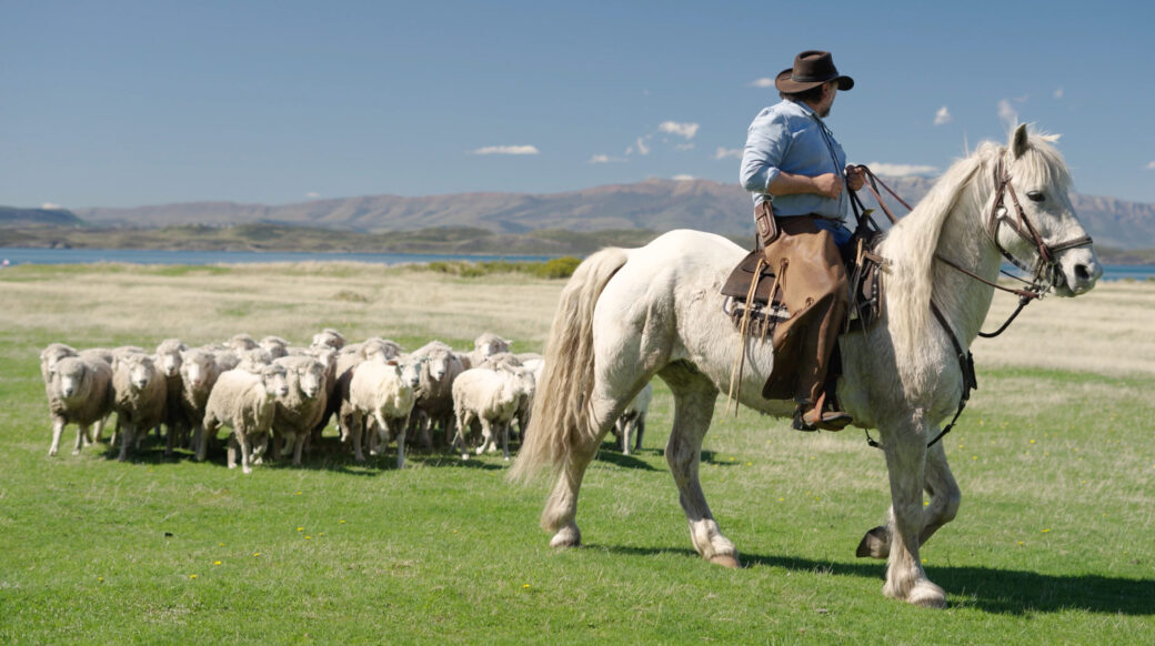 A shepherd rides a white horse beside a flock of sheep grazing in a green pasture near a lake and mountains.