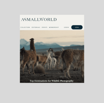 Top Destinations for Wildlife Photography